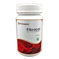 FIBROCAL 60CAP